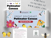 The Cupola House and Gardens, Great Southeast Pollinator Census Count