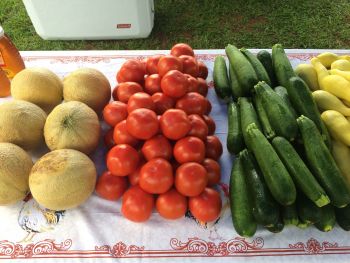 Edenton Farmers Market, Wednesday Farmers Market