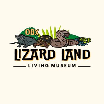 Shepard-Pruden Memorial Library, Lizard Land