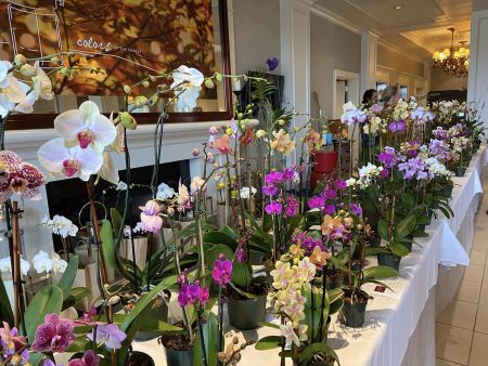 The Garden of Edenton Club, Colonial Celebration