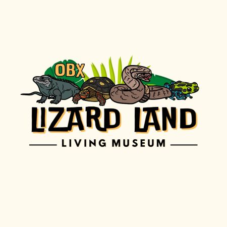 Shepard-Pruden Memorial Library, Lizard Land