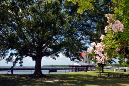 Edenton Events, PACE with an ACE 5K