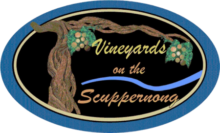 51 House, Wine Tasting with Gayle Ryan
