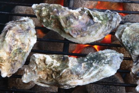 Edenton Events, Site X Oyster Roast Benefiting Coastal Land Trust