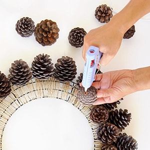 Edenton Events, Pocosin Pinecone Party: Wreaths & more!